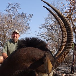 Hunt Sable Antelope Zimbabwe