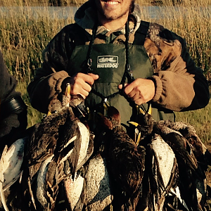 Duck Hunting in Argentina