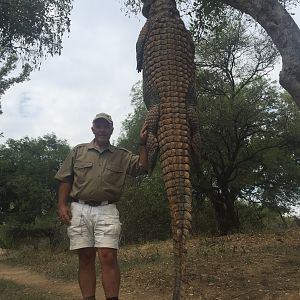 South Africa Hunting Crocodile