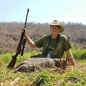 Klipspringer Hunt Zimbabwe