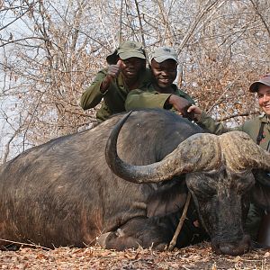 Cape Buffalo Hunt Zimbabwe