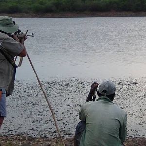 Hunting Crocodile in Zimbabwe