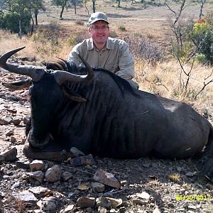 Blue Wildebeest Hunting in South Africa