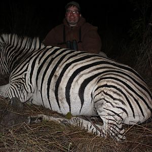 Hunt Burchell's Plain Zebra South Africa