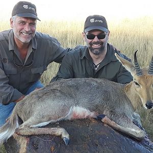 Hunting Mountain Reedbuck South Africa