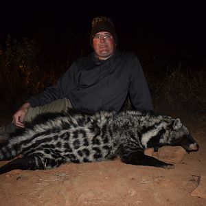 Civet Cat Hunt South Africa
