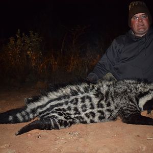 Hunting Civet Cat South Africa