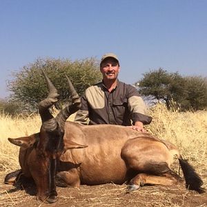 South Africa  Hunt Red Hartebeest