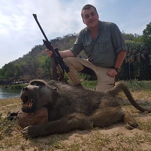 Zimbabwe Baboon Hunt