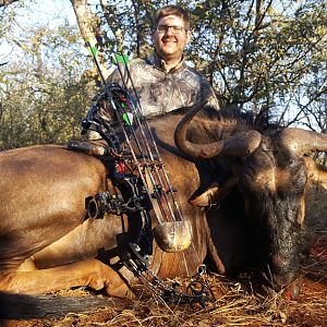 Blue WIldebeest Bow Hunting South Africa