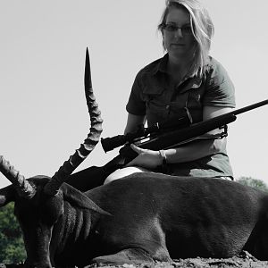 Black Impala Hunt in South Africa
