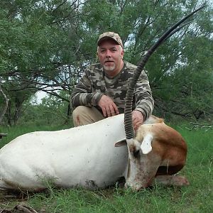 Texas Hunt Scimitar Oryx
