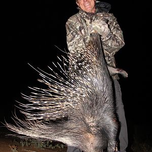 African Porcupine Hunting in South Africa