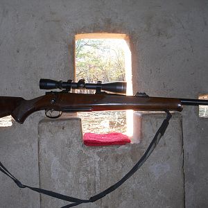 .375 H&H CZ 550 Rifle