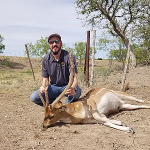 Texas Free Range Axis Deer Hunting