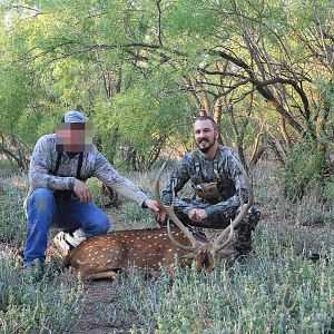 Texas Free Range Axis Deer Hunt
