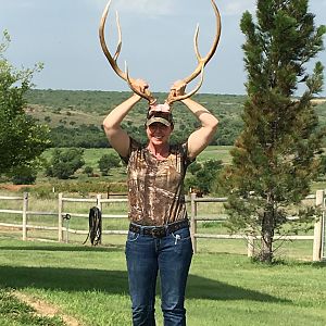 Axis Deer Hunting in Texas