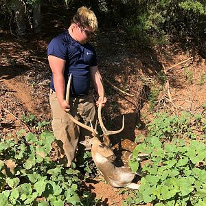 Hunt Axis Deer Texas