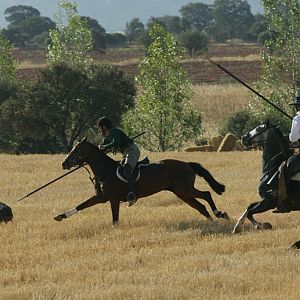 Hog spear hunting from horseback in Spain