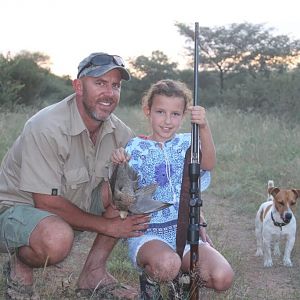 South Africa Hunting Sandgrouse
