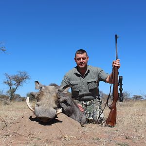 Warthog Hunt in South African Bushveld