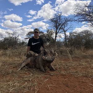 Namibia Bow Hunting Warthog