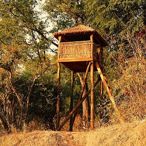 New observation/hunting towers are build in Rosewood for selective trophy hunting