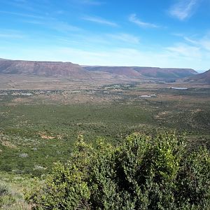 Hunting Area in South Africa