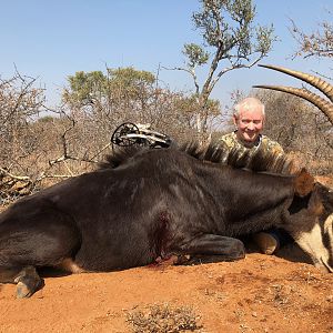 Bow Hunt Sable Antelope in South Africa