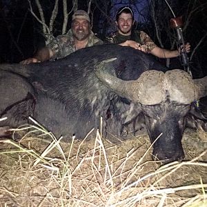 Bow Hunting Cape Buffalo in South Africa