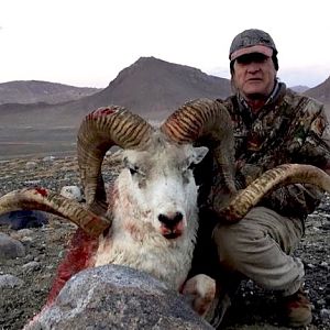 Tajikistan Hunting Marco Polo Sheep