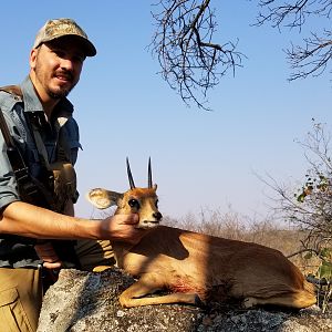 Steenbok Hunting Zimbabwe