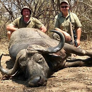 Cape Buffalo Hunting Zambia