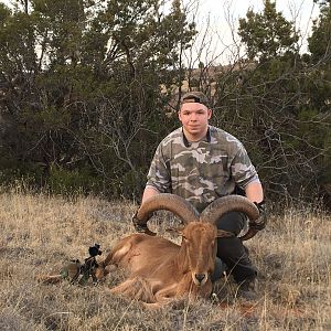 Hunting Aoudad in Texas USA