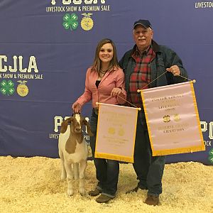 2019 Potter County Division and Over all show reserve Grand Champion