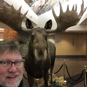 Moose Mount at Anchorage Airport