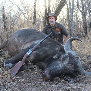 Hunting Cape Buffalo Cow in South Africa