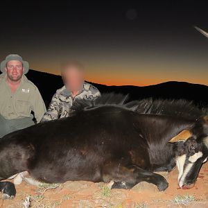 Sable Antelope Hunting South Africa