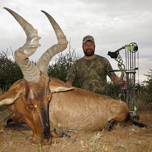 Namibia Bow Hunt Red Hartebeest