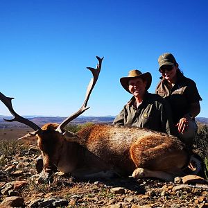 Fallow Deer Hunt South Africa