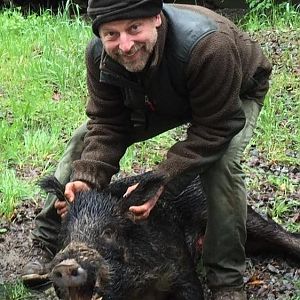 Hunting Hog in Northern California USA