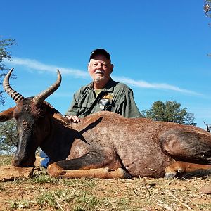 Tsessebe Hunt South Africa