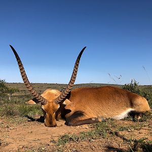 Kafue Lechwe Hunting South Africa