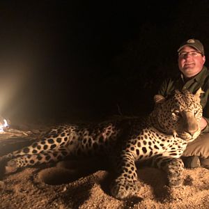 Zimbabwe Hunting Leopard