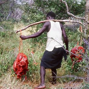 Hunting Tanzania during 60's