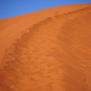 Dune 45 Sossusvlei in Namibia