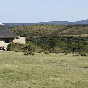 East Cape Hunting Area South Africa