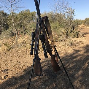 .375 H&H Rifle & Shooting Sticks