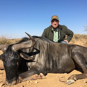Blue Wildebeest Hunting Namibia