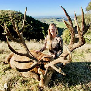 Hunting Red Stag in New Zealand